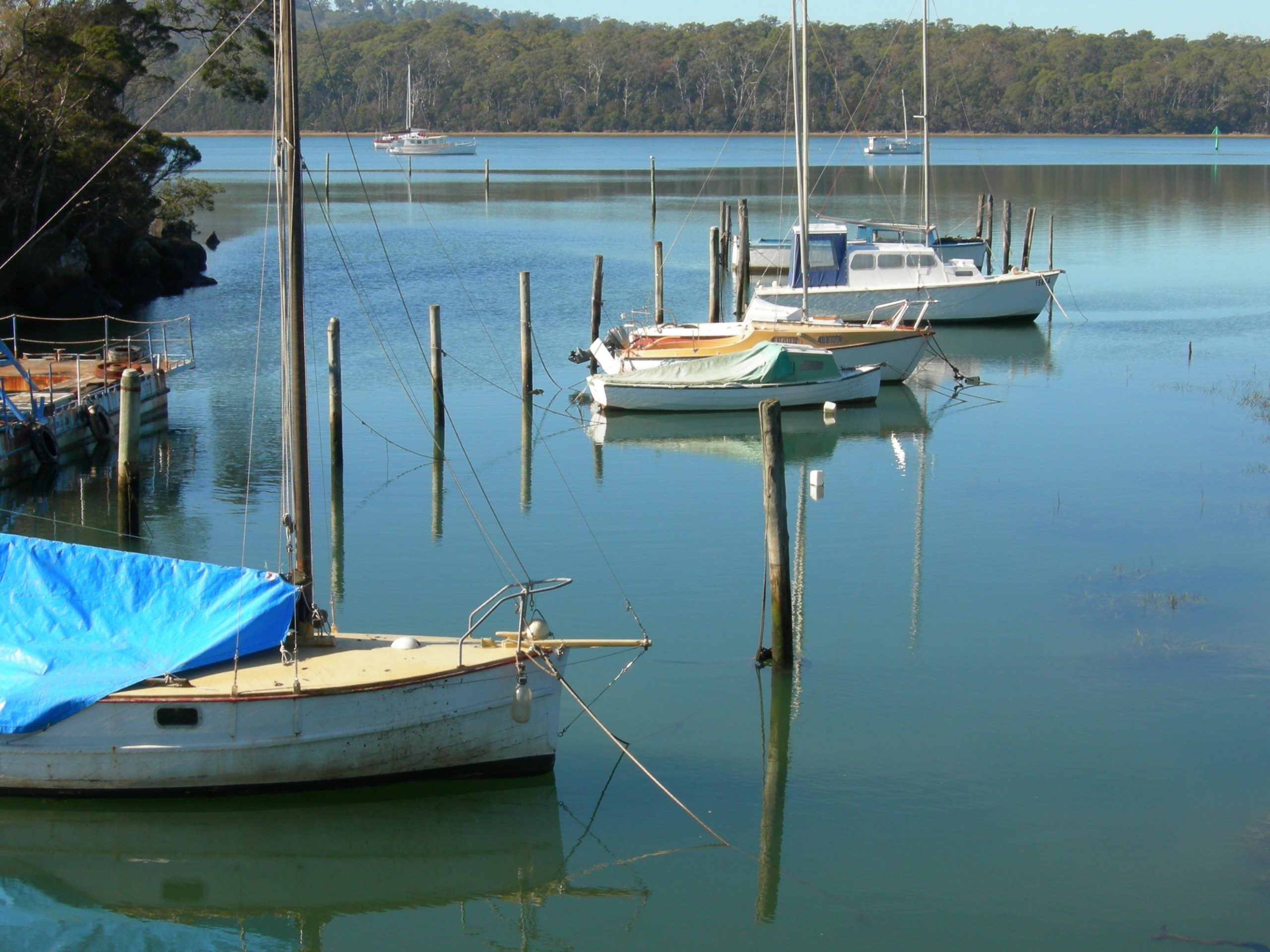 Is Gravelly Beach, TAS a good place to live?