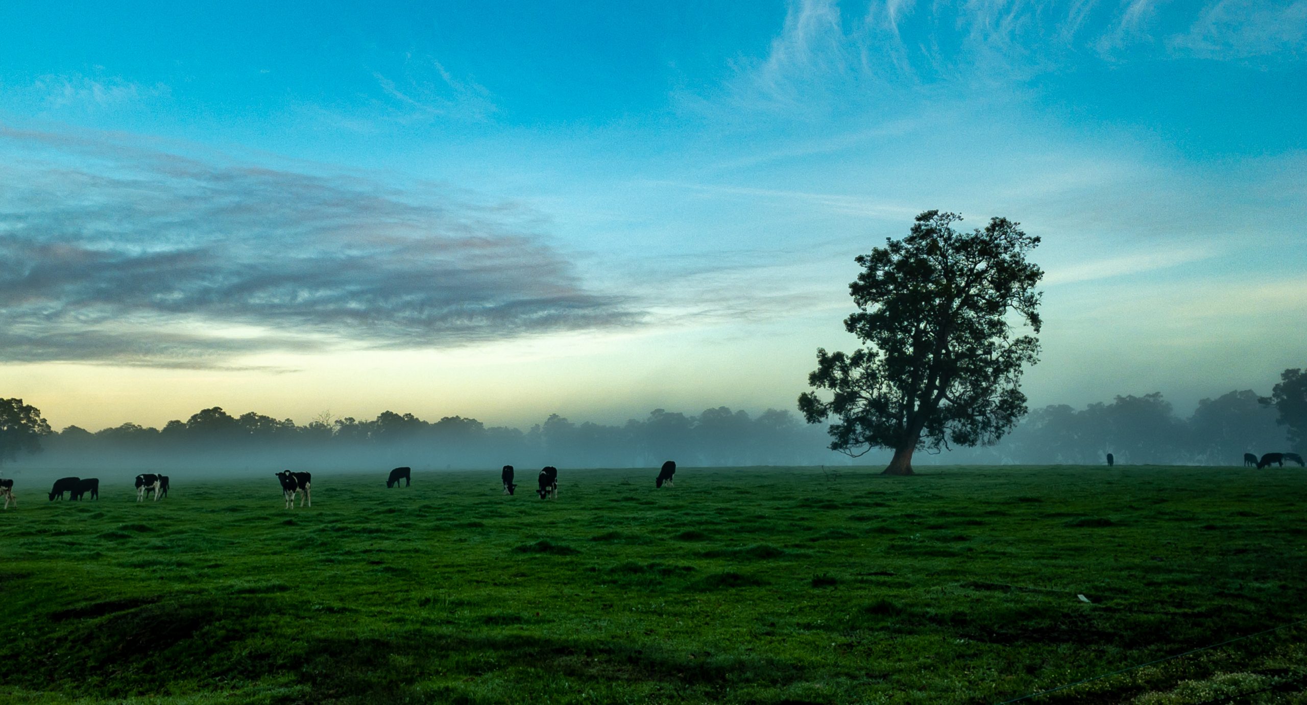 Is Cookernup, WA a good place to live?