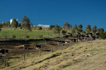 Attunga - Image 1
