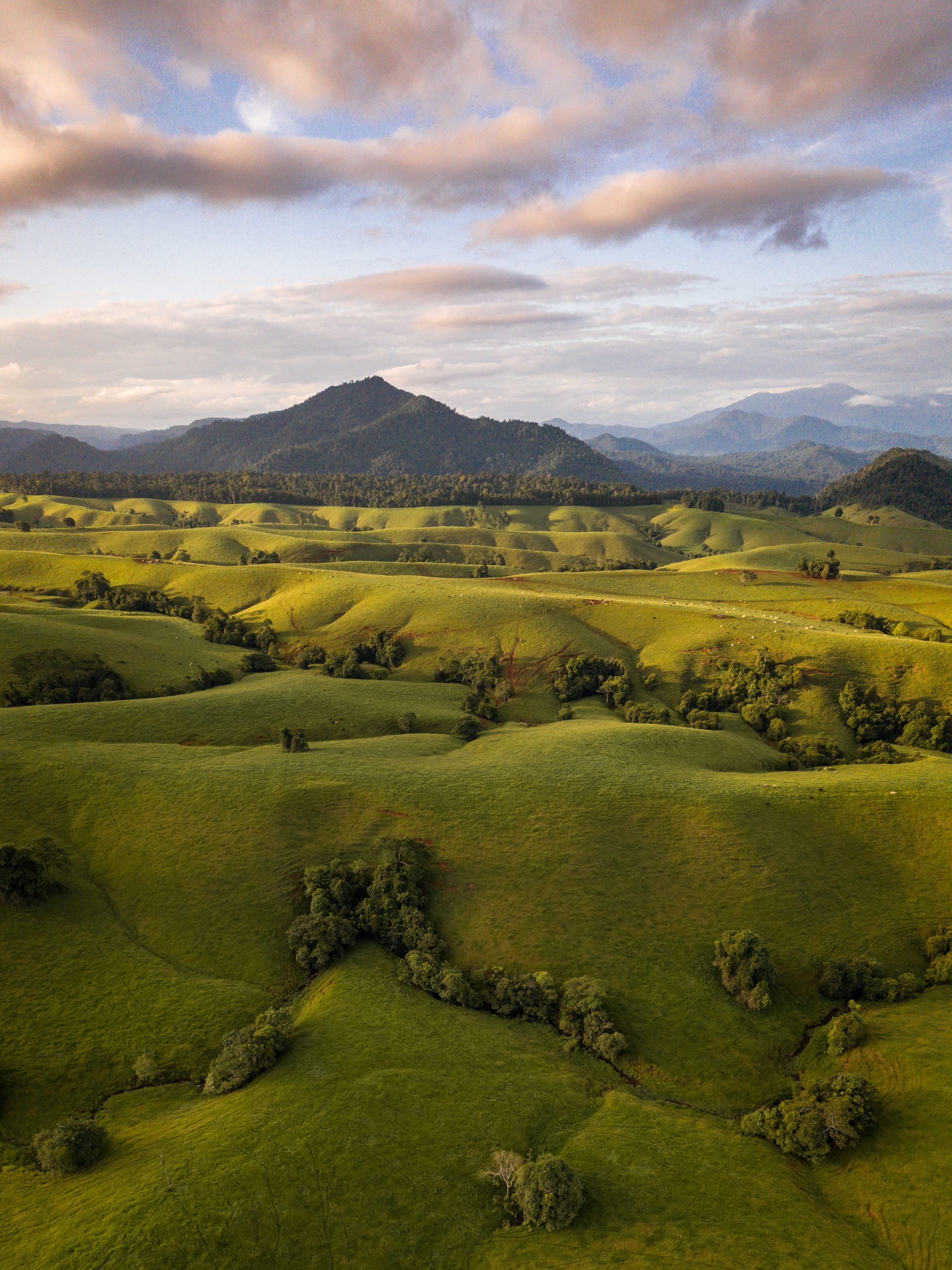 Is Tarzali, QLD a good place to live?