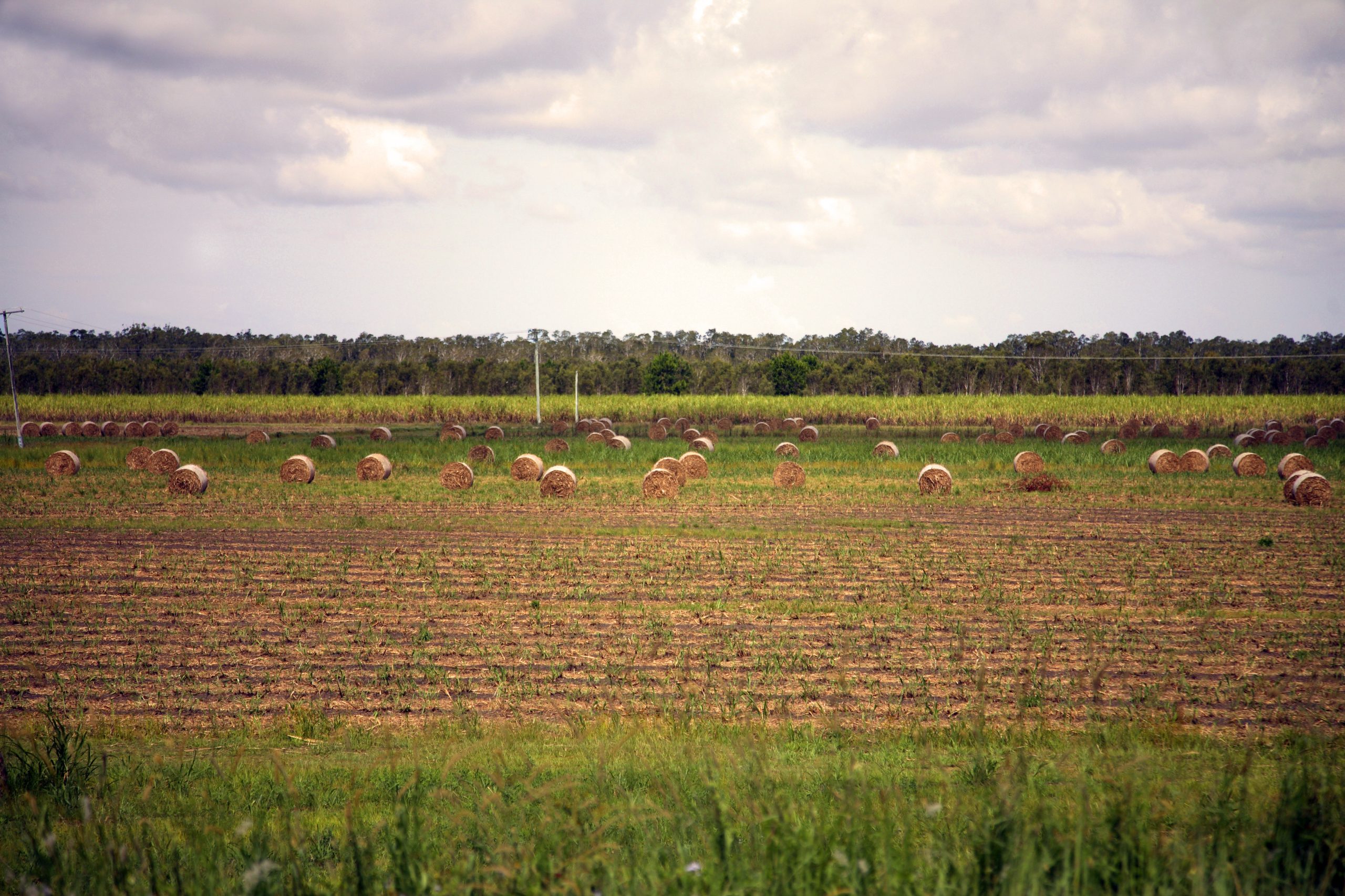 Is Walligan, QLD a good place to live?