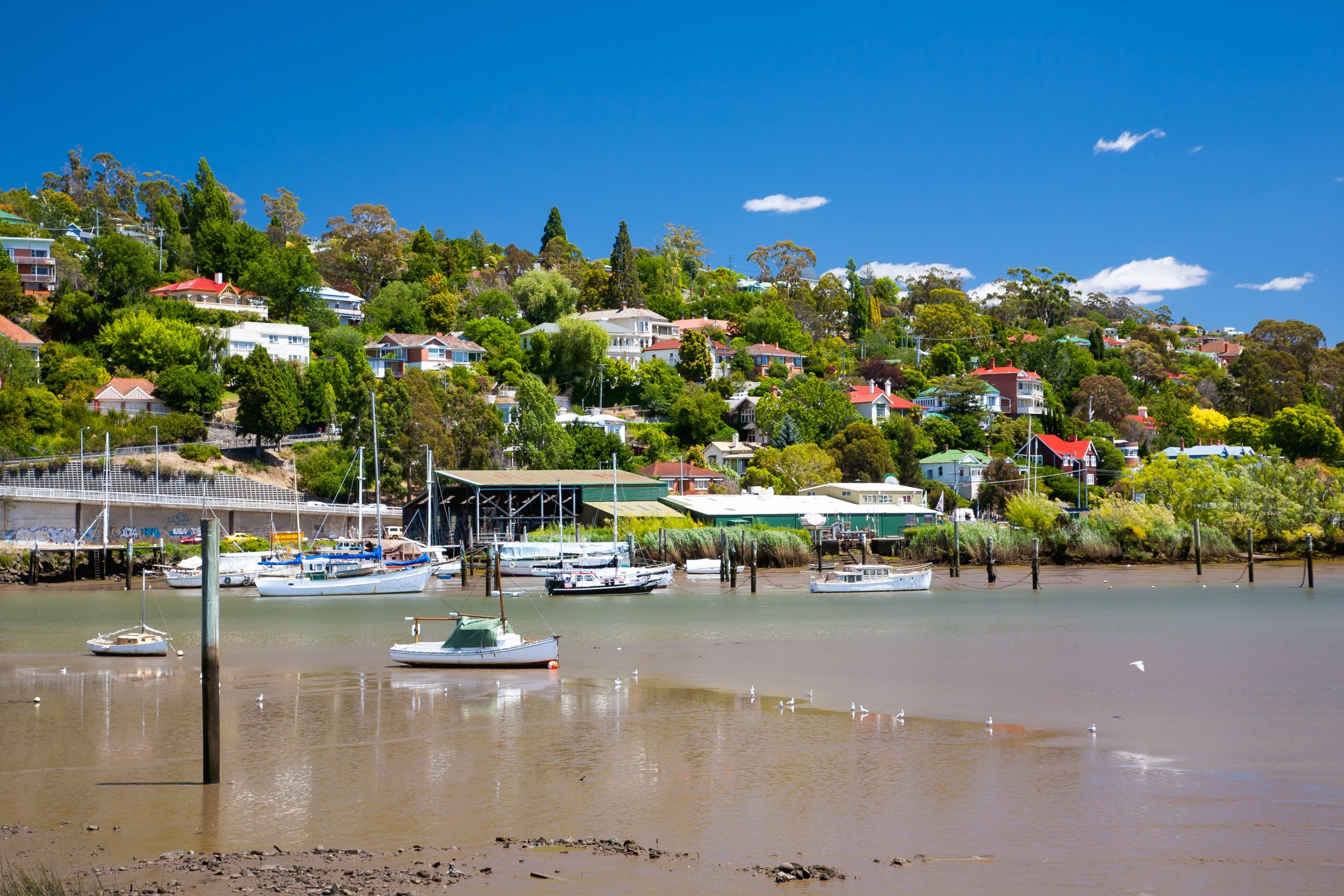 Is Dilston, TAS a good place to live?