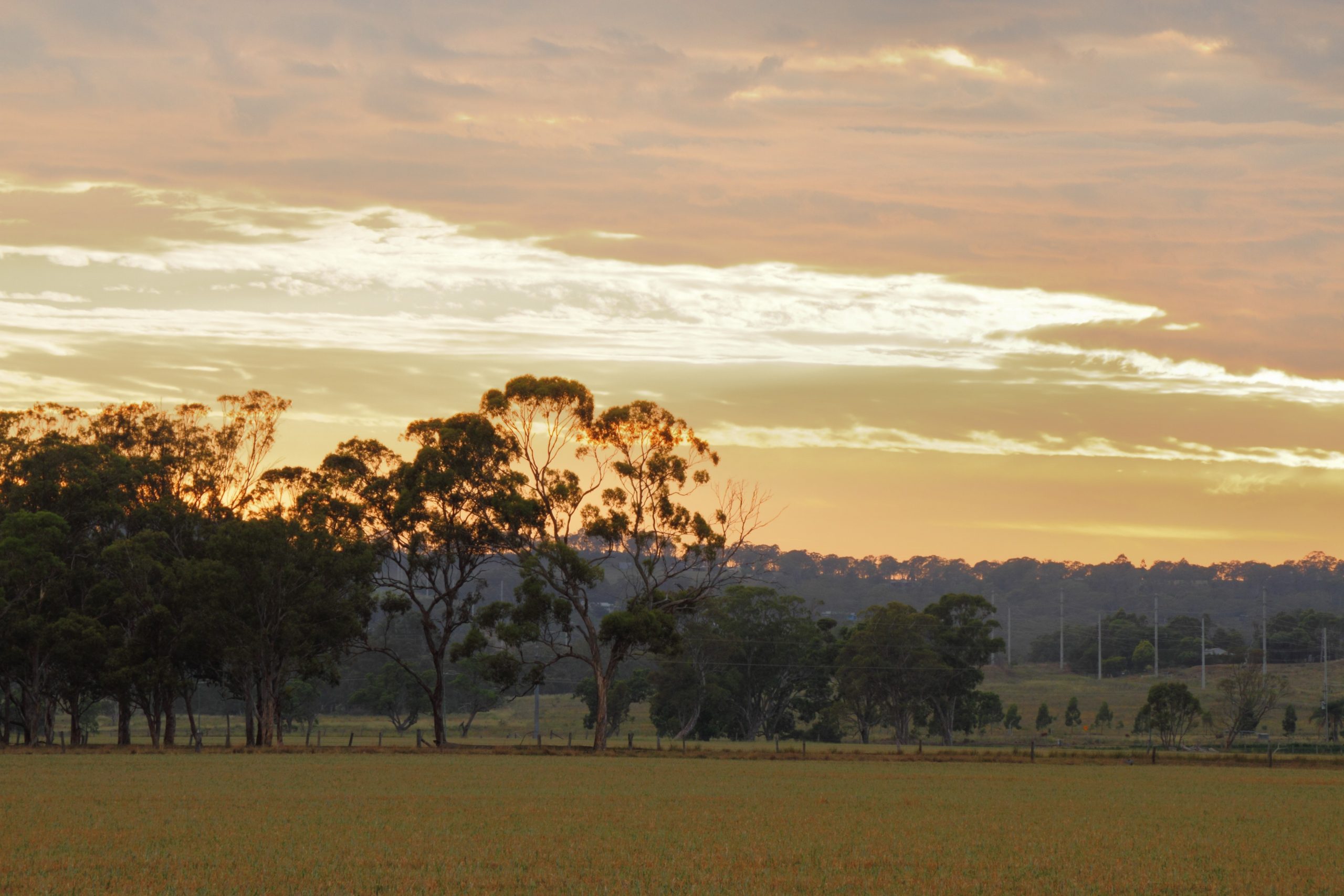 Is Wyreema, QLD a good place to live?