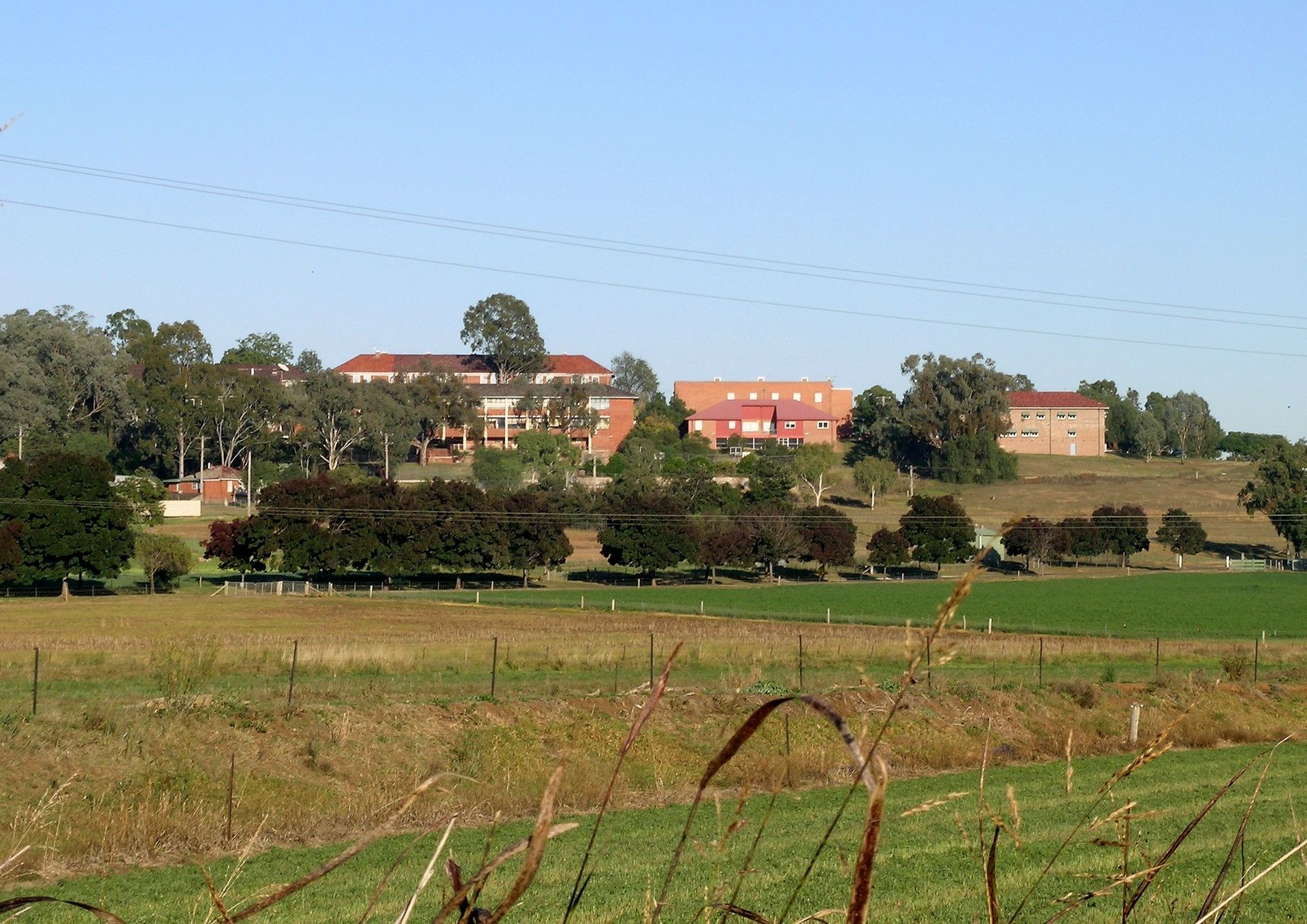 Calala - Image 3