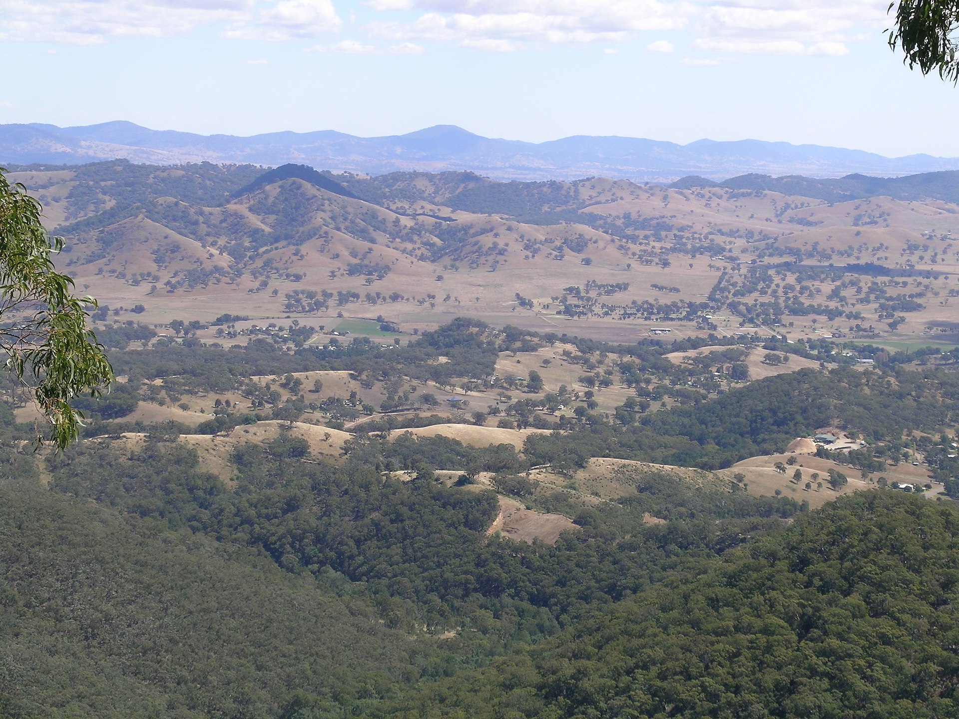 Nundle - Image 7