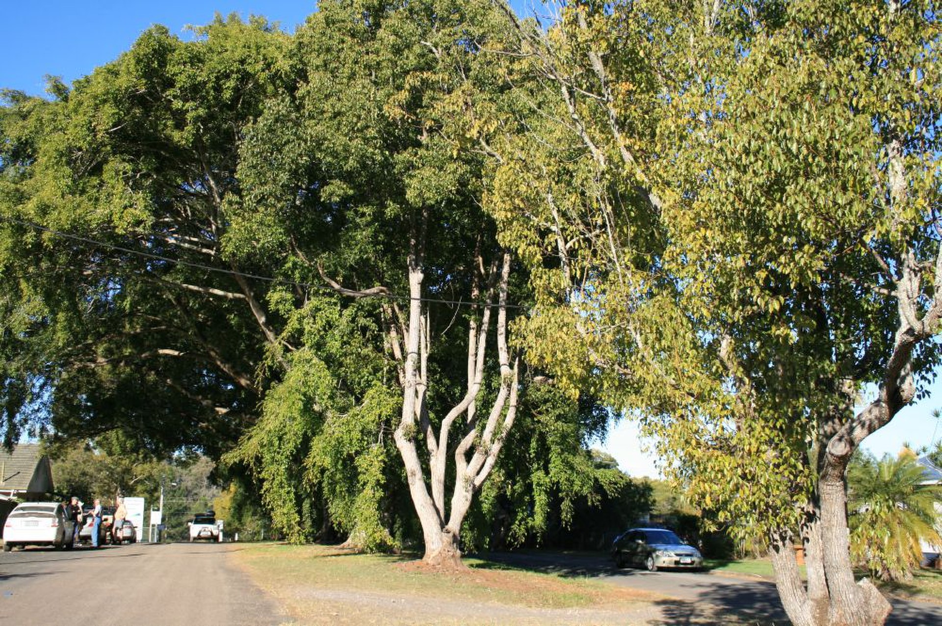 Is Beerburrum, QLD a good place to live?