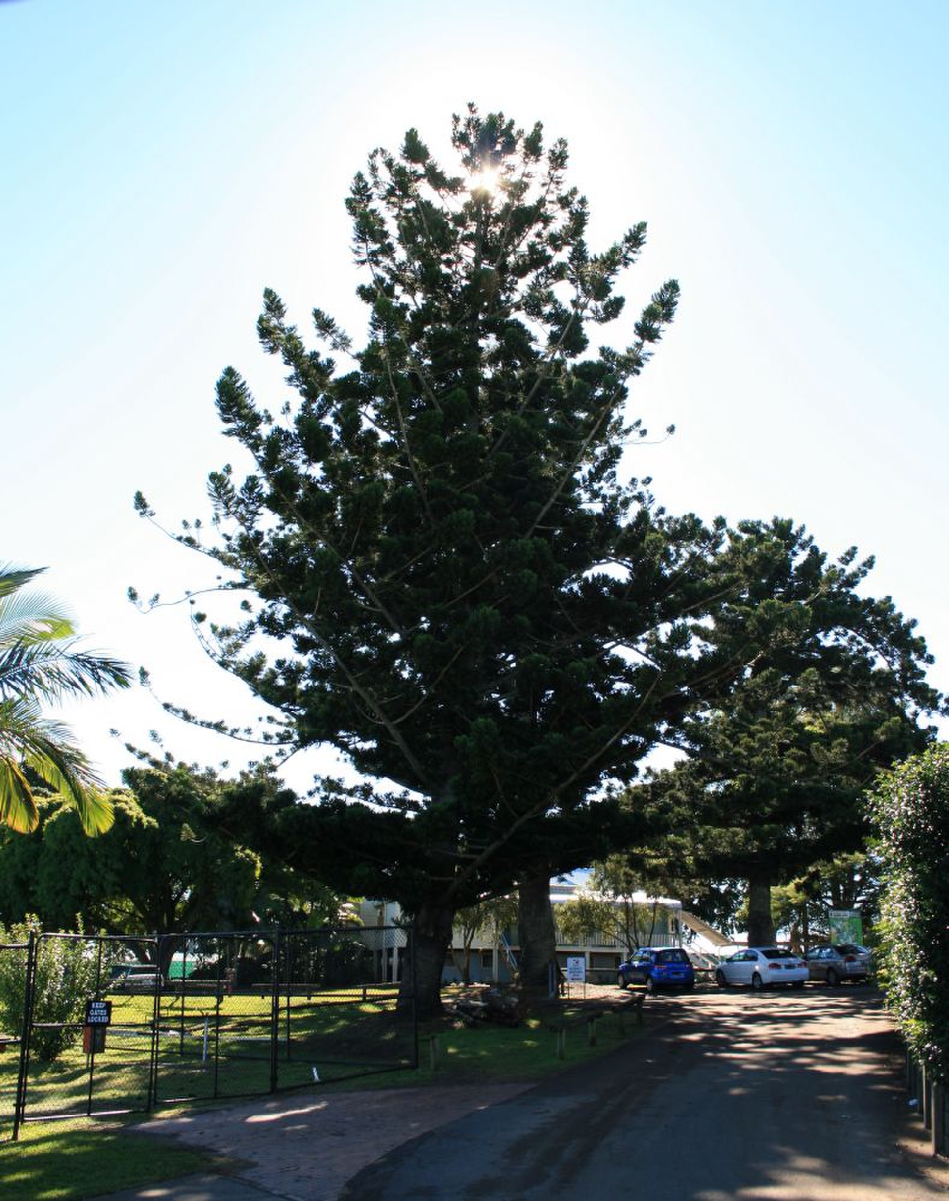 Is St Pauls, QLD a good place to live?