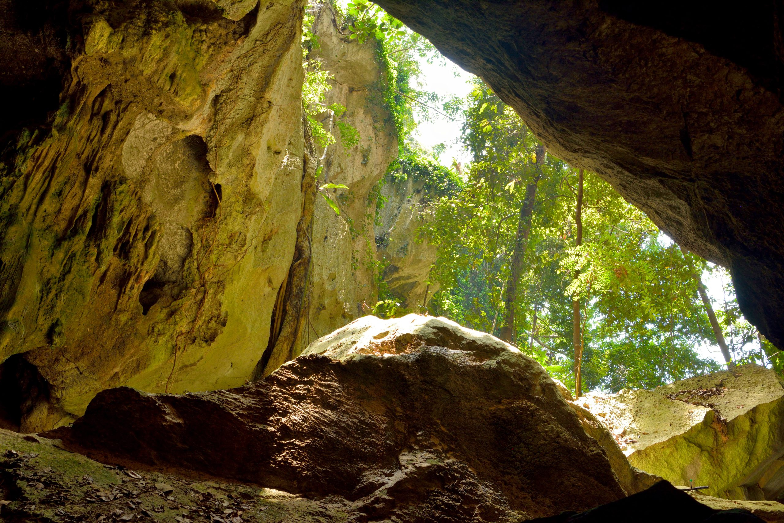 Is The Caves, QLD a good place to live?