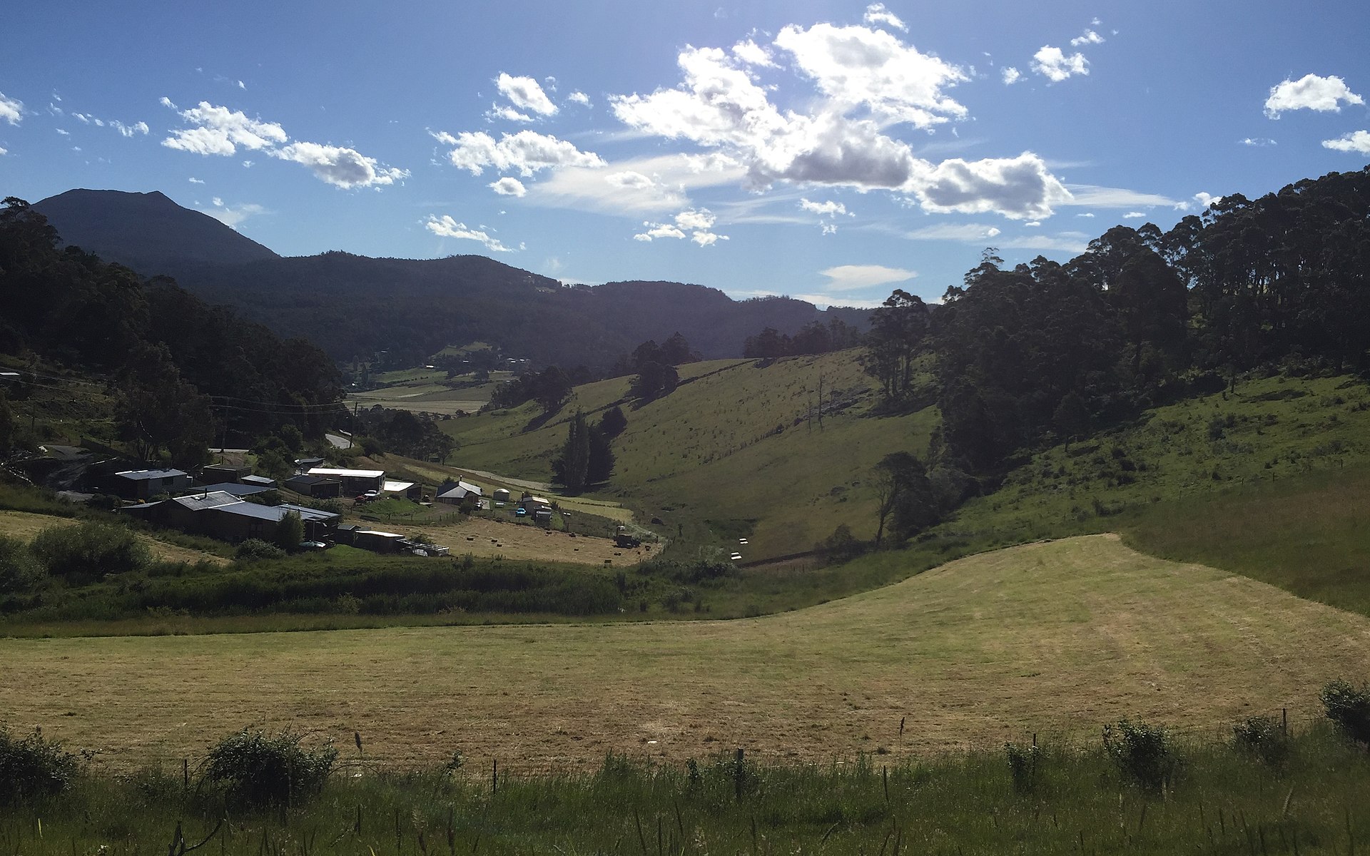 Is Collinsvale, TAS a good place to live?