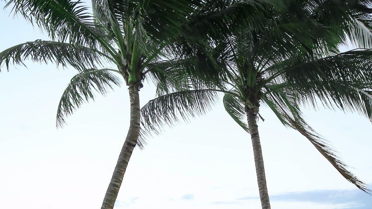 Is Taylors Beach, QLD a good place to live?