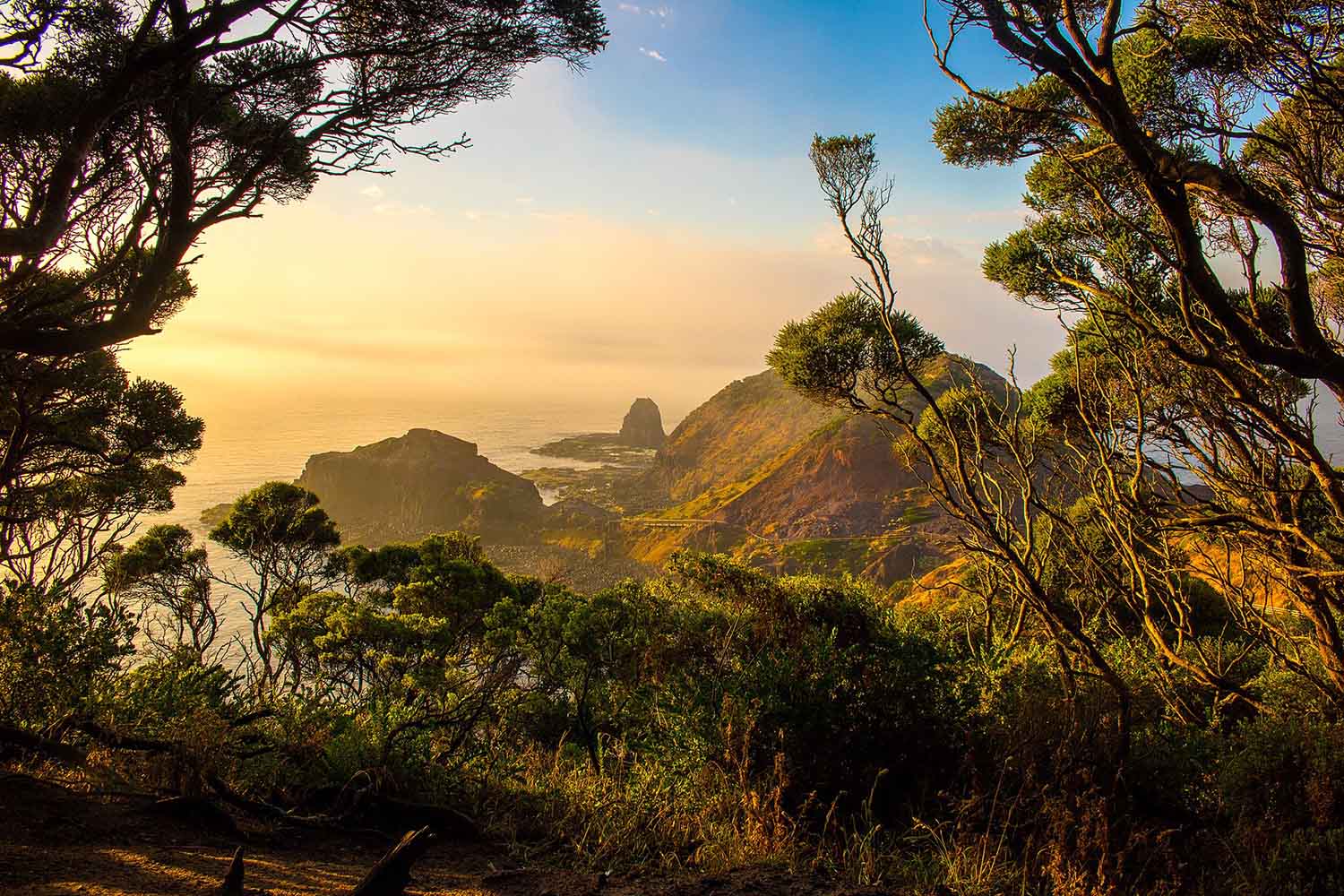 Is Cape Schanck, VIC a good place to live?