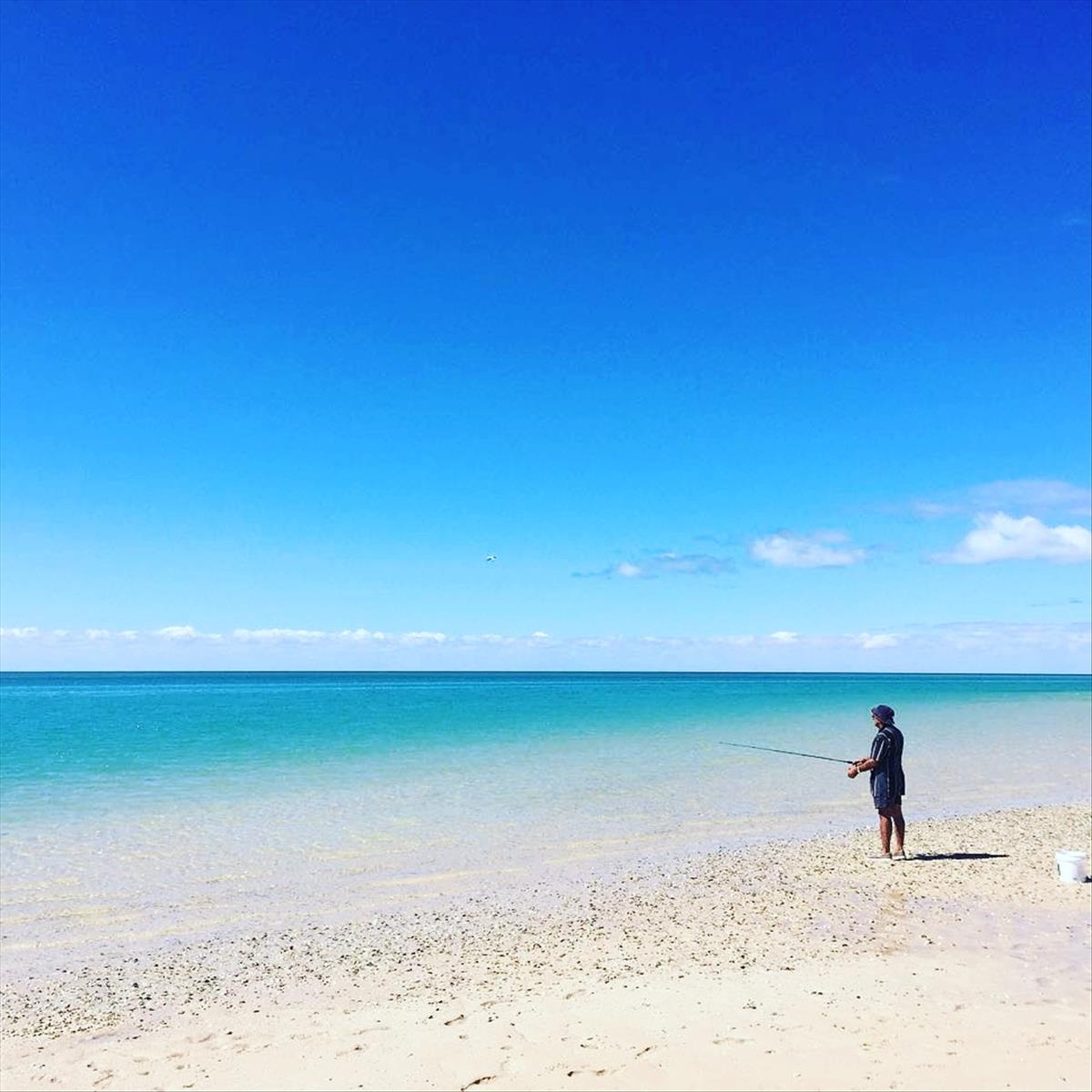 Is Denham, WA a good place to live?