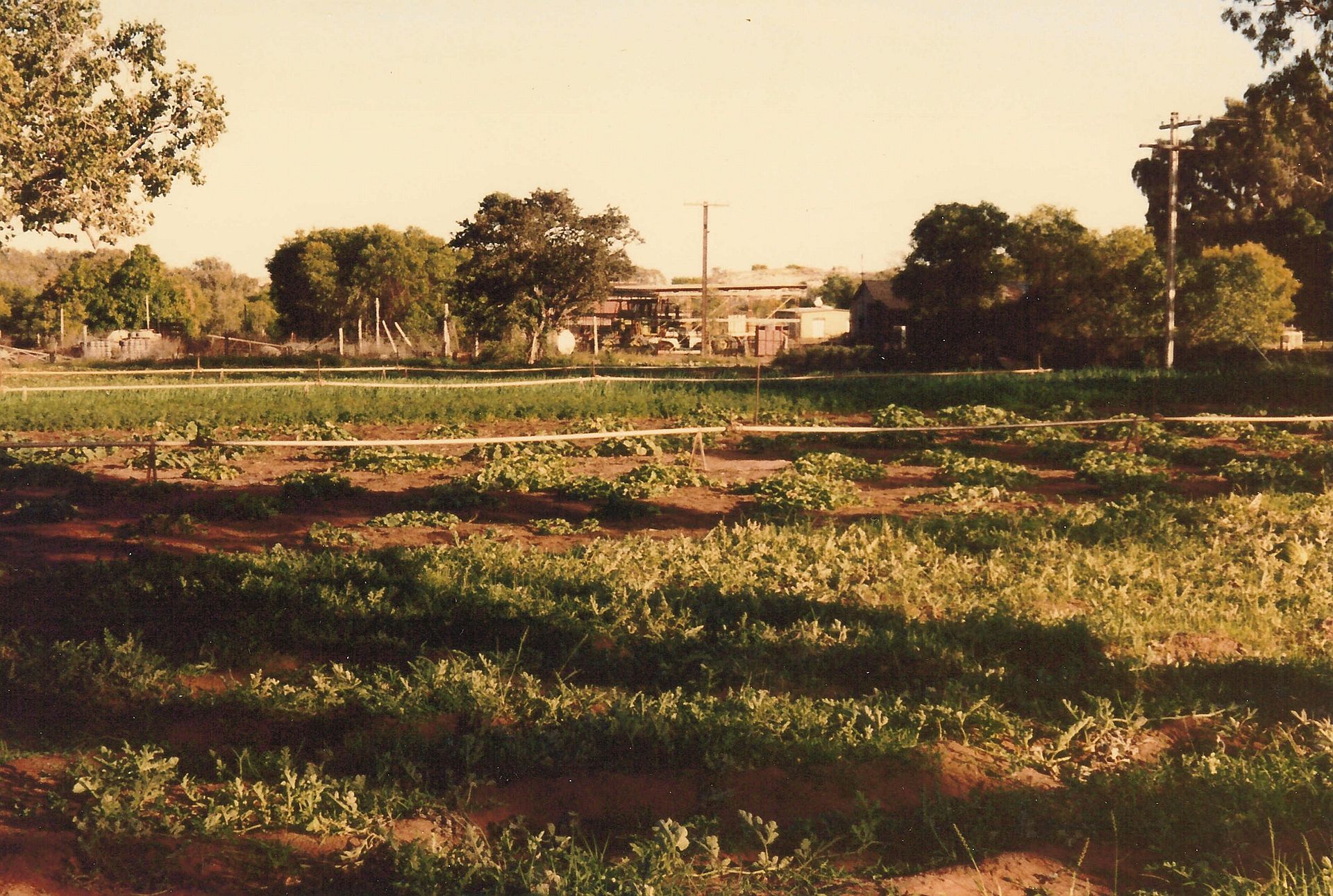 Is Kalumburu, WA a good place to live?