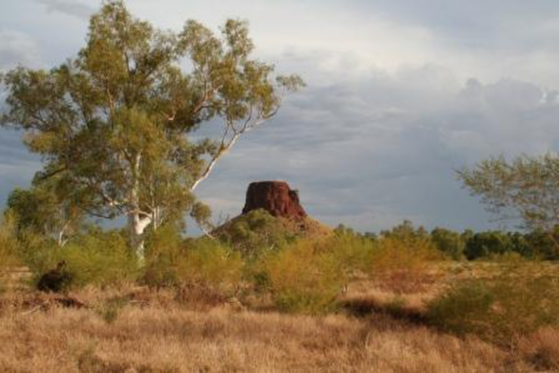 Is Pannawonica, WA a good place to live?
