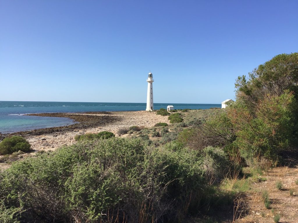 Finding a “different beauty” in Whyalla - Image 1