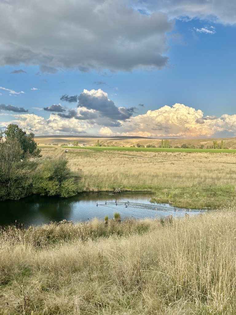 Beijing to Bombala - Image 3