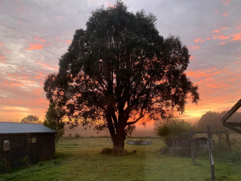 Your Town with Cass - Braidwood NSW - Image 1