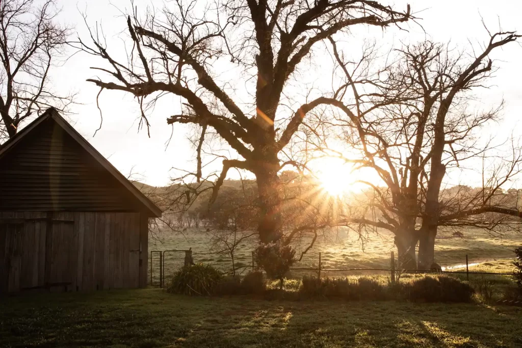Family and business thrive at Dunmore Farm - Image 3