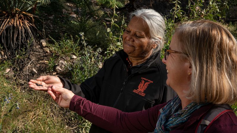 Best Towns to Live in Alice Springs