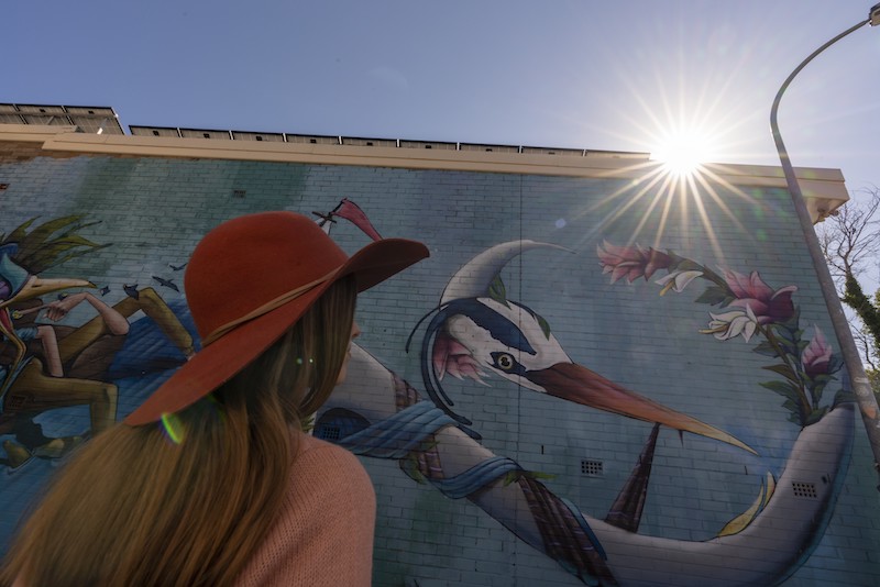 Best Towns to Live in Blue Mountains