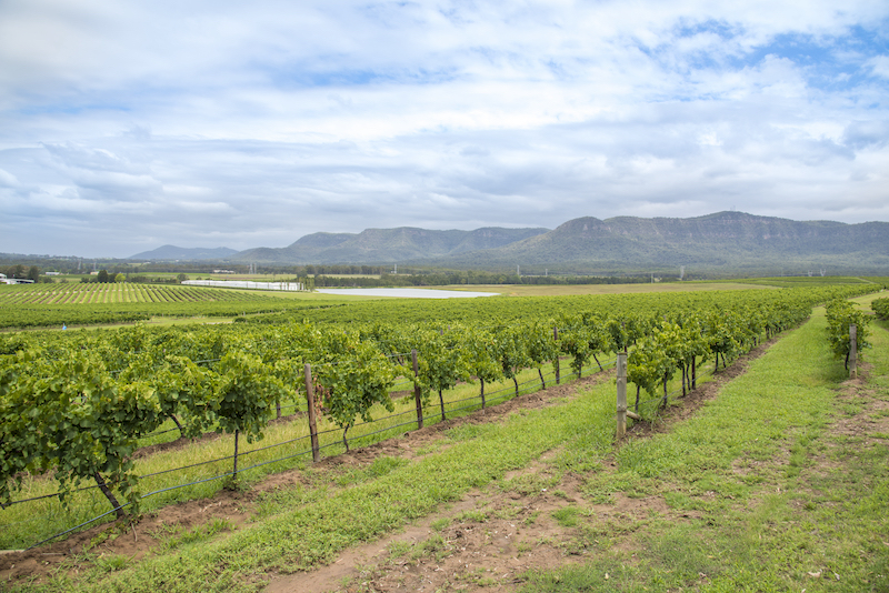 Best Towns to Live in Hunter