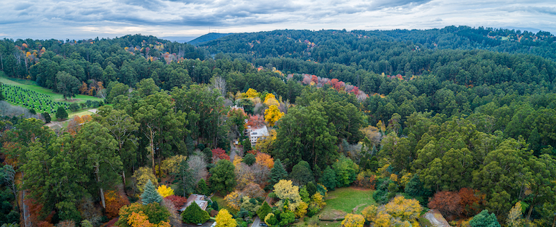 Best Towns to Live in Yarra Valley and the Dandenong Ranges