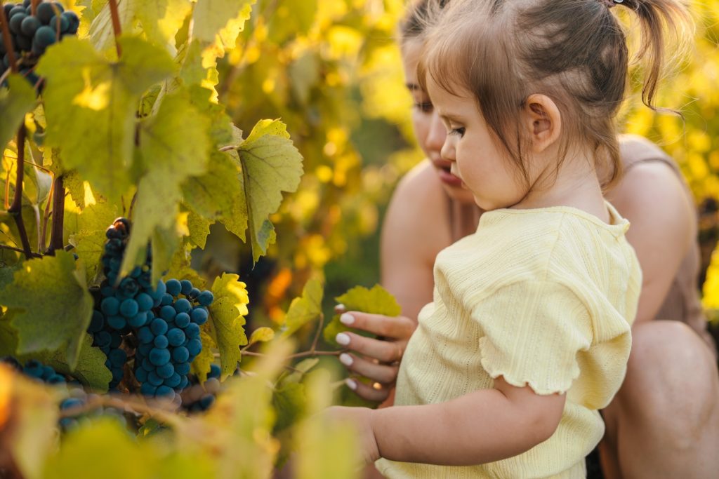 Moving to Barossa