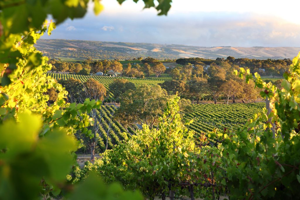 Moving to Fleurieu Peninsula