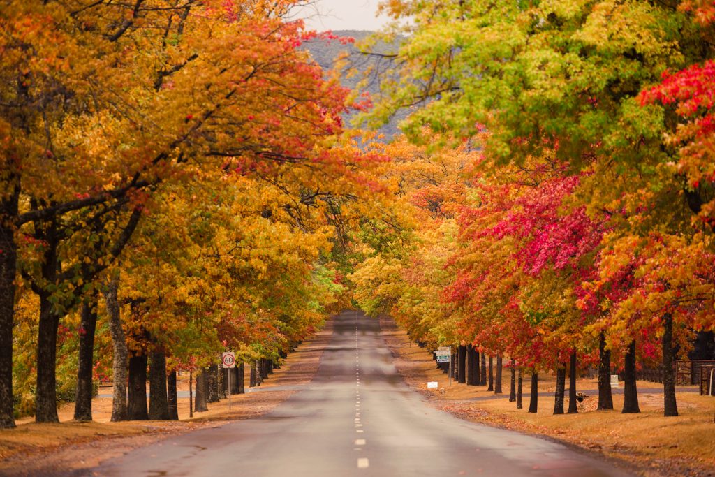 Living in Macedon