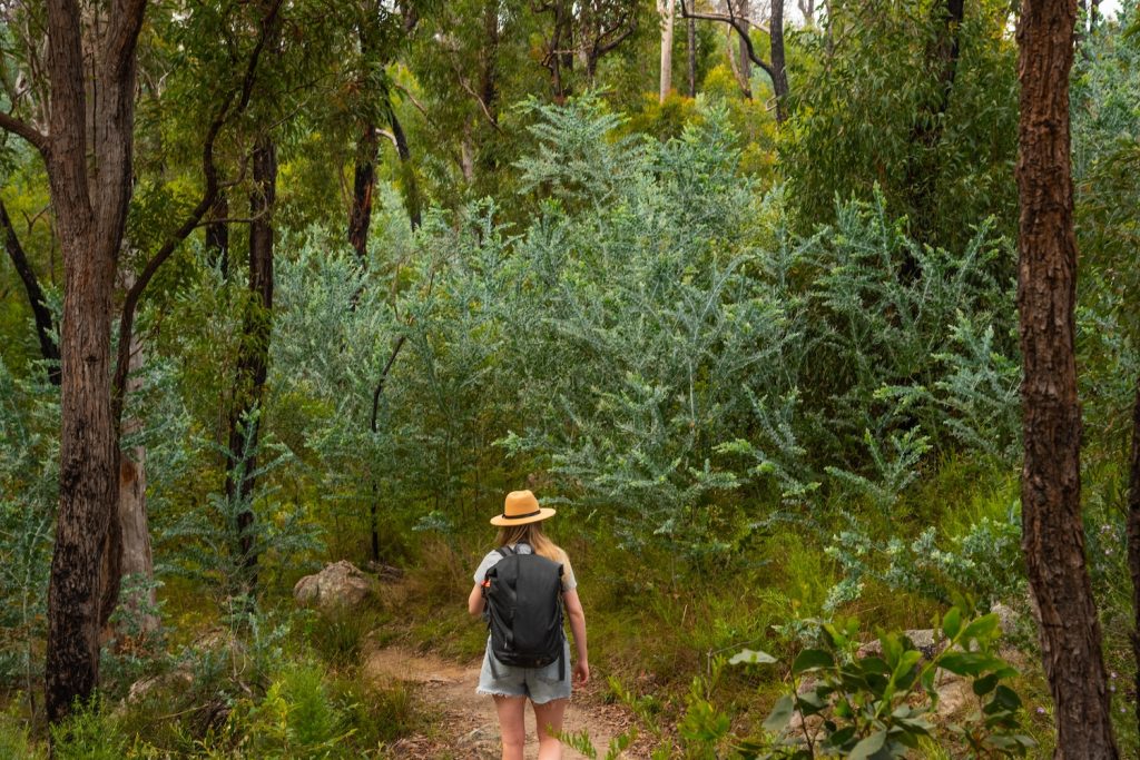 Moving to Southern Queensland Country