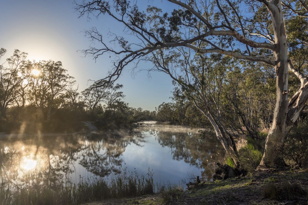 Moving to Wimmera
