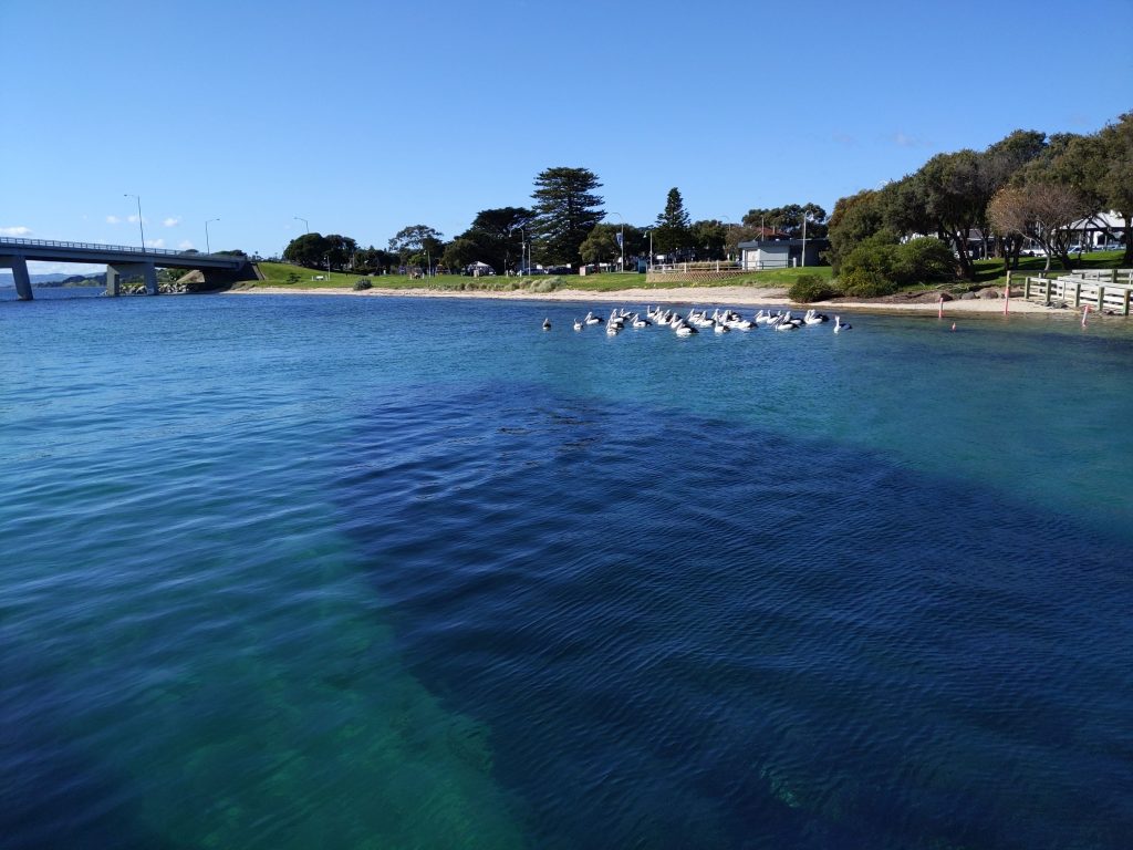Your Town With Cass - San Remo VIC - Image 4