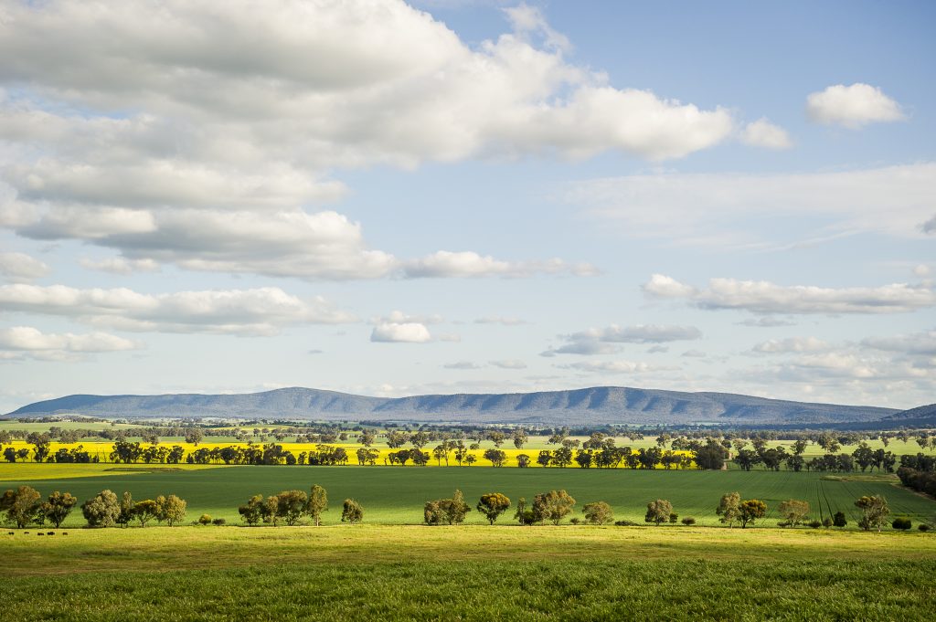 Your Town With Cass - Grenfell NSW - Image 4