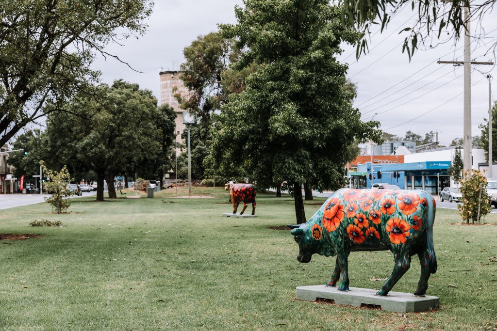 Your Town With Cass - Mooroopna VIC - Image 5