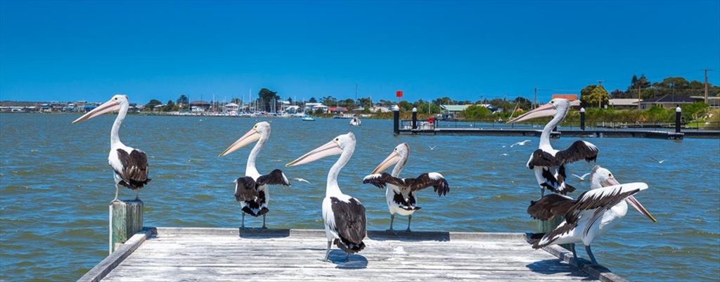 Goolwa - a top Australian Coastal Town to live in