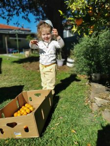 A move to Maitland provides many opportunities - Image 2
