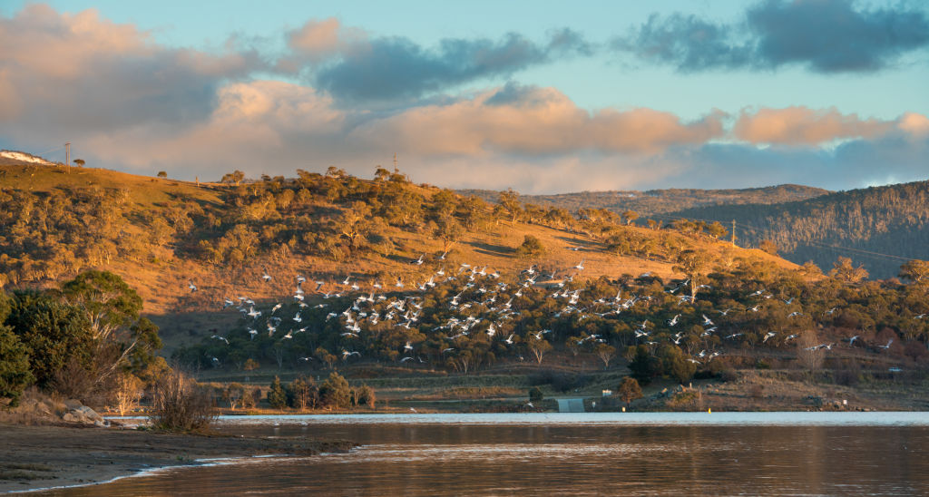 Jindabyne